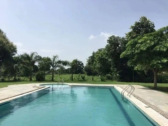 Feroz Shah Kotla Swimming Pool at Arun Jaitley Stadium Delhi India: L-shaped luxury lap pool with turquoise water and jacuzzi spillover, surrounded by lush green lawns, tall palm trees, mango trees.